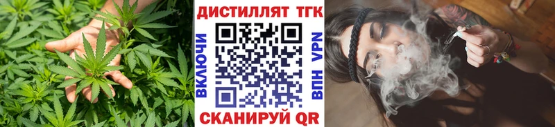 цены   Избербаш  ТГК концентрат 